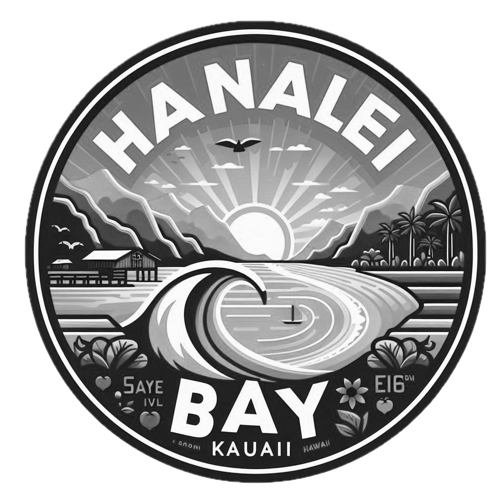 Hanalei Bay Webcams