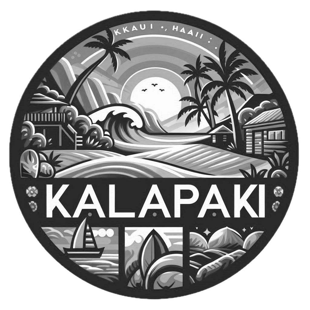 Kalapaki Beach Webcams